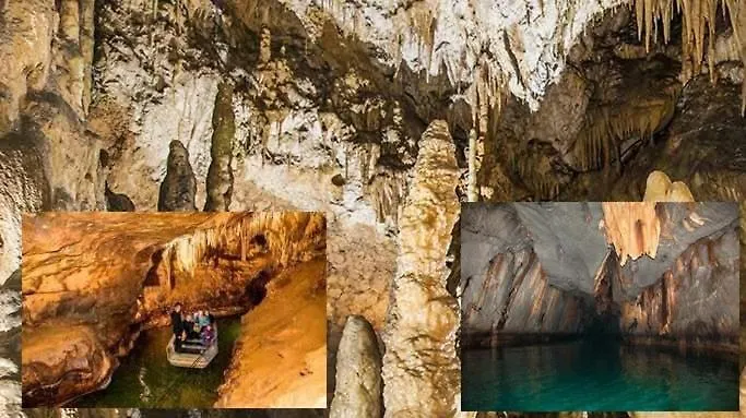 3 Pieces Spacieux Plein Centre, Parking,clim, Terrasse, Jardin 公寓