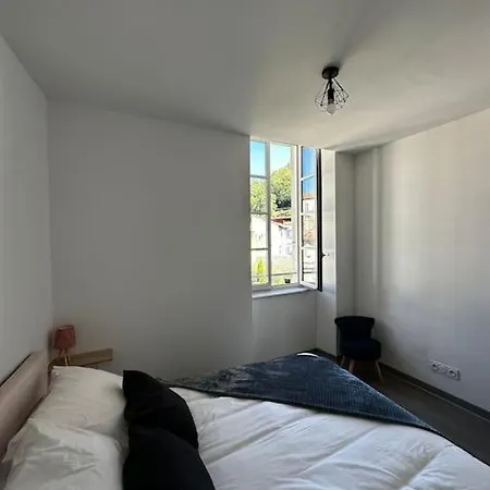 Apartment T3 Spacieux Plein Centre, Parking,clim, Patio, Jardin
