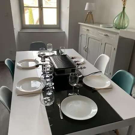 T3 Spacieux Plein Centre, Parking,clim, Patio, Jardin Apartment Foix
