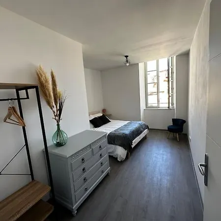T3 Spacieux Plein Centre, Parking,clim, Patio, Jardin * Foix