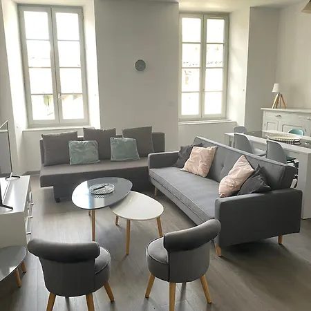 T3 Spacieux Plein Centre, Parking,clim, Patio, Jardin Apartment Foix
